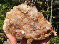 Natural Large Golden Limonite / Lemonite Quartz Clusters x 2 From Zambia - Toprock Gemstones and Minerals 