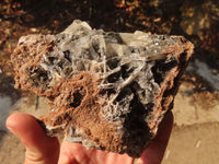 Natural Rare Bladed Baryte Specimens  x 3 From Congo