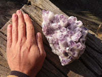 Natural Sugar Amethyst Cluster x 1 From Zambia