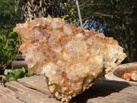 Natural Large Golden Limonite / Lemonite Quartz Clusters x 2 From Zambia - Toprock Gemstones and Minerals 