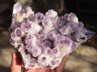 Natural Sugar Amethyst Cluster x 1 From Zambia