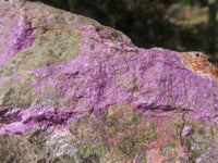 Polished Rough Purple Stichtite / Atlantisite Specimens  x 4 From Barberton, South Africa - TopRock