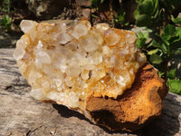 Natural Large Golden Limonite / Lemonite Quartz Clusters x 2 From Zambia - Toprock Gemstones and Minerals 