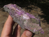 Polished Rough Purple Stichtite / Atlantisite Specimens  x 4 From Barberton, South Africa - TopRock