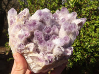 Natural Sugar Amethyst Cluster x 1 From Zambia