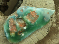 Polished One Side Polished Emerald Mtorolite Plates  x 2 From Mutorashanga, Zimbabwe - Toprock Gemstones and Minerals 