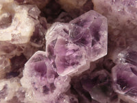 Natural Sugar Amethyst Cluster x 1 From Zambia