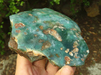 Polished One Side Polished Emerald Mtorolite Plates  x 2 From Mutorashanga, Zimbabwe - Toprock Gemstones and Minerals 