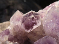 Natural Sugar Amethyst Cluster x 1 From Zambia