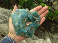 Polished One Side Polished Emerald Mtorolite Plates  x 2 From Mutorashanga, Zimbabwe - Toprock Gemstones and Minerals 