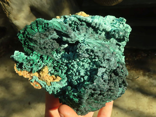 Natural Botryoidal Malachite Specimens  x 2 From Congo