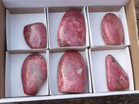 Polished Pink Rhodonite Standing Free Forms  x 6 From Madagascar - Toprock Gemstones and Minerals 