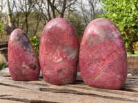 Polished Pink Rhodonite Standing Free Forms  x 6 From Madagascar - Toprock Gemstones and Minerals 