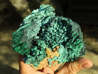 Natural Botryoidal Malachite Specimens  x 2 From Congo