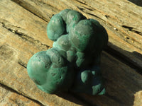 Natural Botryoidal Malachite Specimens  x 2 From Congo