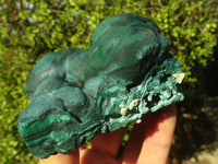 Natural Botryoidal Malachite Specimens  x 2 From Congo