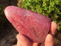 Polished Pink Rhodonite Standing Free Forms  x 6 From Madagascar - Toprock Gemstones and Minerals 