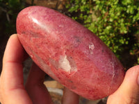 Polished Pink Rhodonite Standing Free Forms  x 6 From Madagascar - Toprock Gemstones and Minerals 