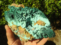 Natural Botryoidal Malachite Specimens  x 2 From Congo