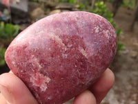 Polished Pink Rhodonite Standing Free Forms  x 6 From Madagascar - Toprock Gemstones and Minerals 