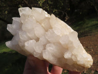 Natural White Quartz Clusters With Large Intact Crystals  x 2 From Madagascar - TopRock