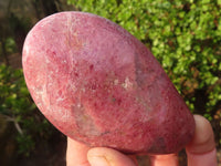 Polished Pink Rhodonite Standing Free Forms  x 6 From Madagascar - Toprock Gemstones and Minerals 