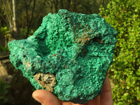 Natural Chatoyant Silky Malachite Specimen  x 1 From Kasompe, Congo - Toprock Gemstones and Minerals 