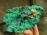 Natural Chatoyant Silky Malachite Specimen  x 1 From Kasompe, Congo - Toprock Gemstones and Minerals 