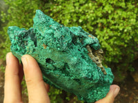 Natural Chatoyant Silky Malachite Specimen  x 1 From Kasompe, Congo - Toprock Gemstones and Minerals 