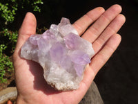 Natural Jacaranda Amethyst Clusters  x 6 From Mumbwa, Zambia - Toprock Gemstones and Minerals 