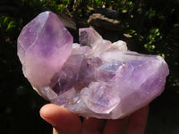 Natural Jacaranda Amethyst Quartz Clusters  x 2 From Zambia - Toprock Gemstones and Minerals 