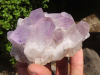 Natural Jacaranda Amethyst Clusters  x 6 From Mumbwa, Zambia - Toprock Gemstones and Minerals 