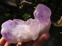 Natural Jacaranda Amethyst Quartz Clusters  x 2 From Zambia - Toprock Gemstones and Minerals 