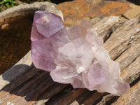 Natural Jacaranda Amethyst Clusters  x 6 From Mumbwa, Zambia - Toprock Gemstones and Minerals 