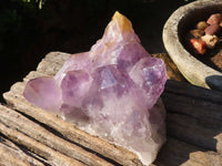 Natural Jacaranda Amethyst Quartz Clusters  x 2 From Zambia - Toprock Gemstones and Minerals 