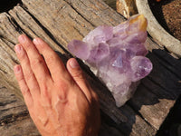 Natural Jacaranda Amethyst Quartz Clusters  x 2 From Zambia - Toprock Gemstones and Minerals 