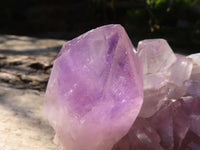 Natural Jacaranda Amethyst Quartz Clusters  x 2 From Zambia - Toprock Gemstones and Minerals 