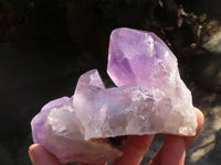 Natural Jacaranda Amethyst Quartz Clusters  x 2 From Zambia - Toprock Gemstones and Minerals 