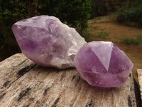 Polished Gorgeous Amethyst Crystals  x 6 From Mumbwa, Zambia - TopRock