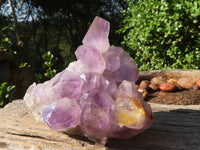 Natural Jacaranda Amethyst Quartz Clusters  x 2 From Zambia - Toprock Gemstones and Minerals 