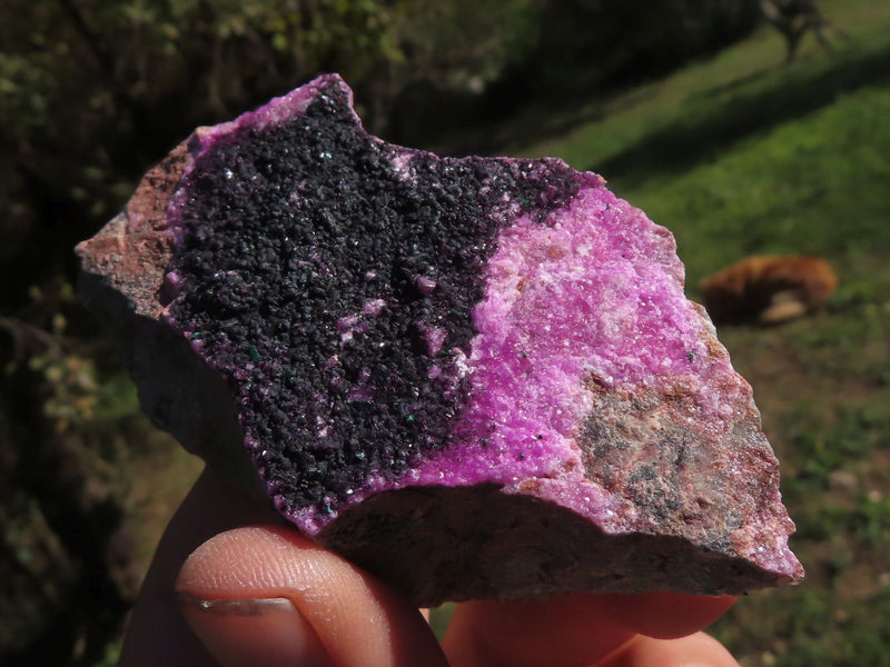 Natural Pink Salrose Cobaltion Dolomite Specimens With