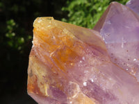 Natural Jacaranda Amethyst Quartz Clusters  x 2 From Zambia - Toprock Gemstones and Minerals 