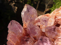 Natural Sugar Amethyst Clusters  x 2 From Zambia