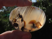 Polished Banded, Dendritic, Orange Agate Gallets / Palm Stones - sold per Kg - From Madagascar - TopRock