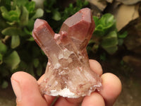 Natural Red Hematoid Quartz Specimens x 35 From Karoi, Zimbabwe - TopRock