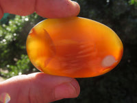 Polished Banded, Dendritic, Orange Agate Gallets / Palm Stones - sold per Kg - From Madagascar - TopRock