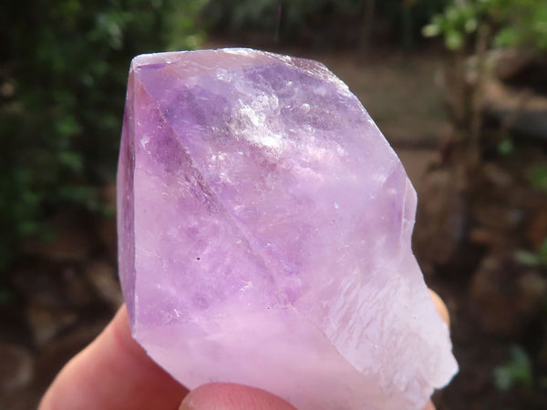 Natural Single Jacaranda Amethyst Crystals  x 12 From Zambia - Toprock Gemstones and Minerals 