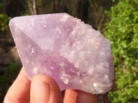 Natural Single Jacaranda Amethyst Crystals  x 12 From Zambia - Toprock Gemstones and Minerals 