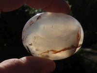 Polished Banded, Dendritic, Orange Agate Gallets / Palm Stones - sold per Kg - From Madagascar - TopRock