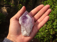 Natural Single Jacaranda Amethyst Crystals  x 12 From Zambia - Toprock Gemstones and Minerals 